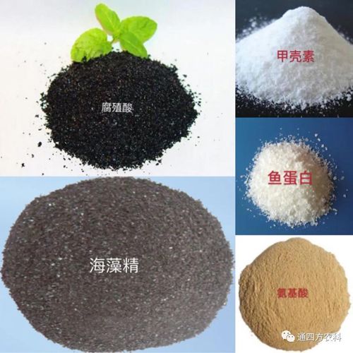 �_�֣���ֳ�������������ך��ء��~���������������ܡ����ò�һ�������