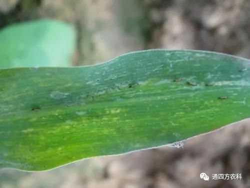 ���הQ����ô�k����ץ�o��Q��(hu��)Ӱ푮a(ch��n)��!!!