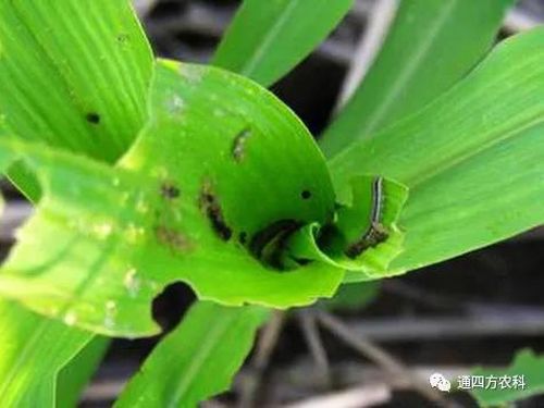 ���הQ����ô�k����ץ�o��Q��(hu��)Ӱ푮a(ch��n)��!!!